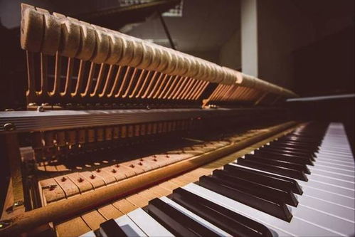 淺析古典鋼琴作品在當(dāng)代的作用和地位